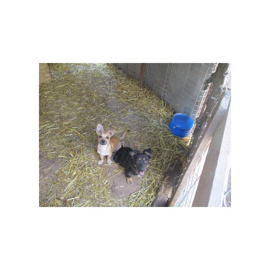 IMG_9452.jpeg