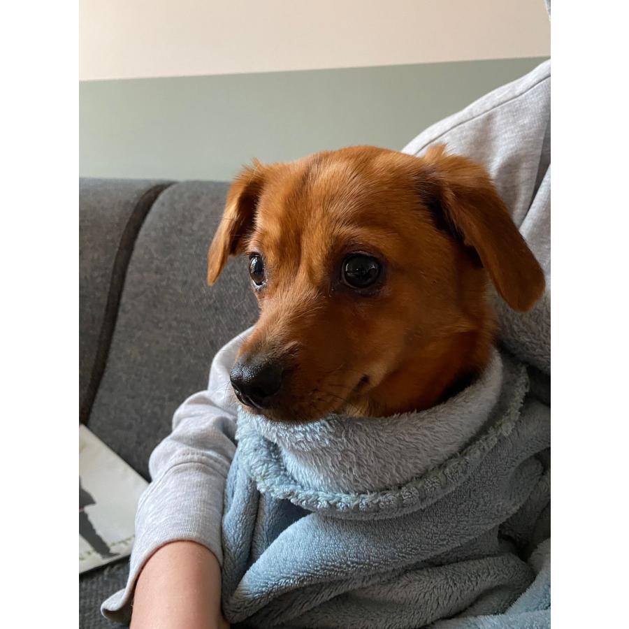 image1.jpeg