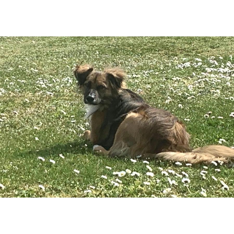 20190810_143525.jpg