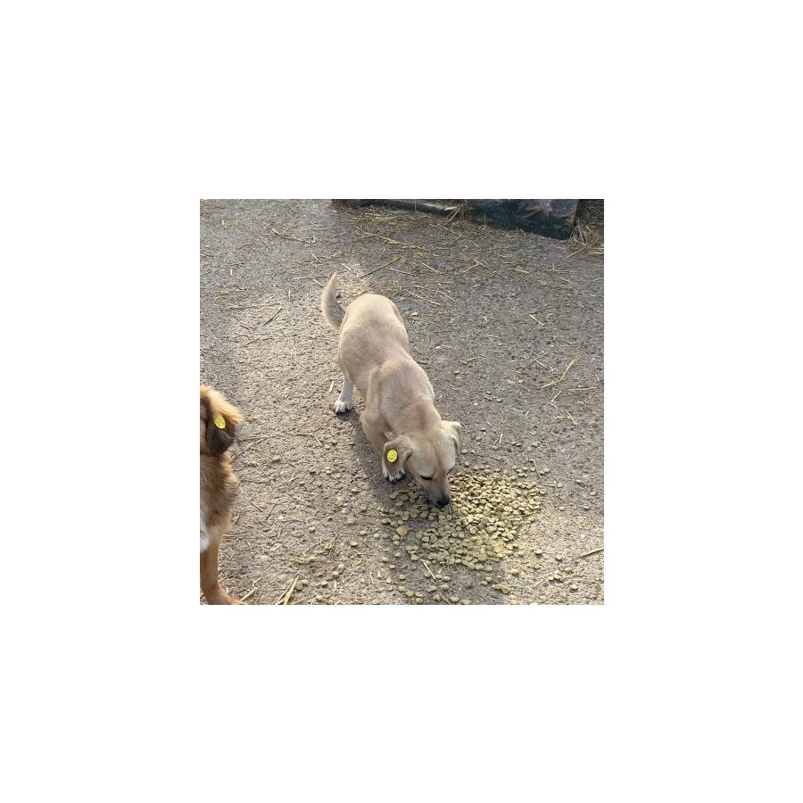 thumbnail_IMG_8658.jpg