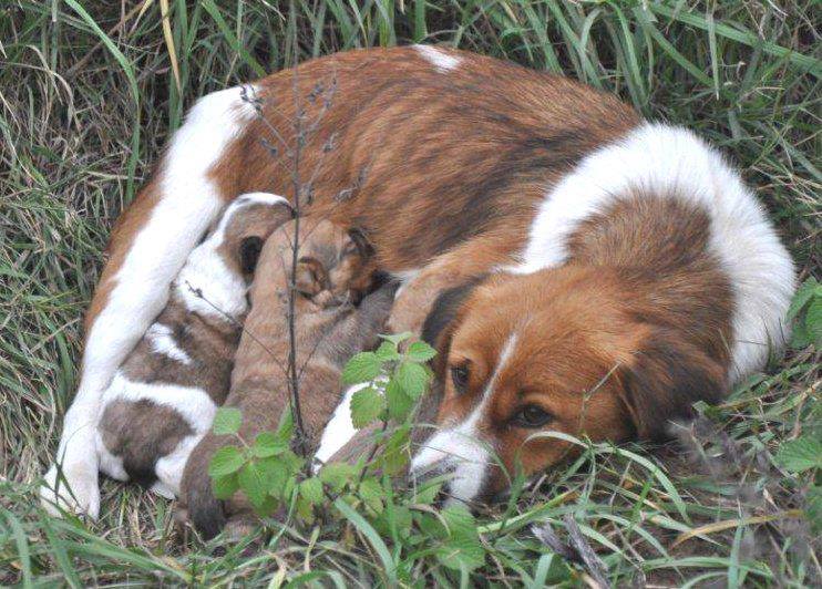 10580233 925346630826702 2319225787934046231 n