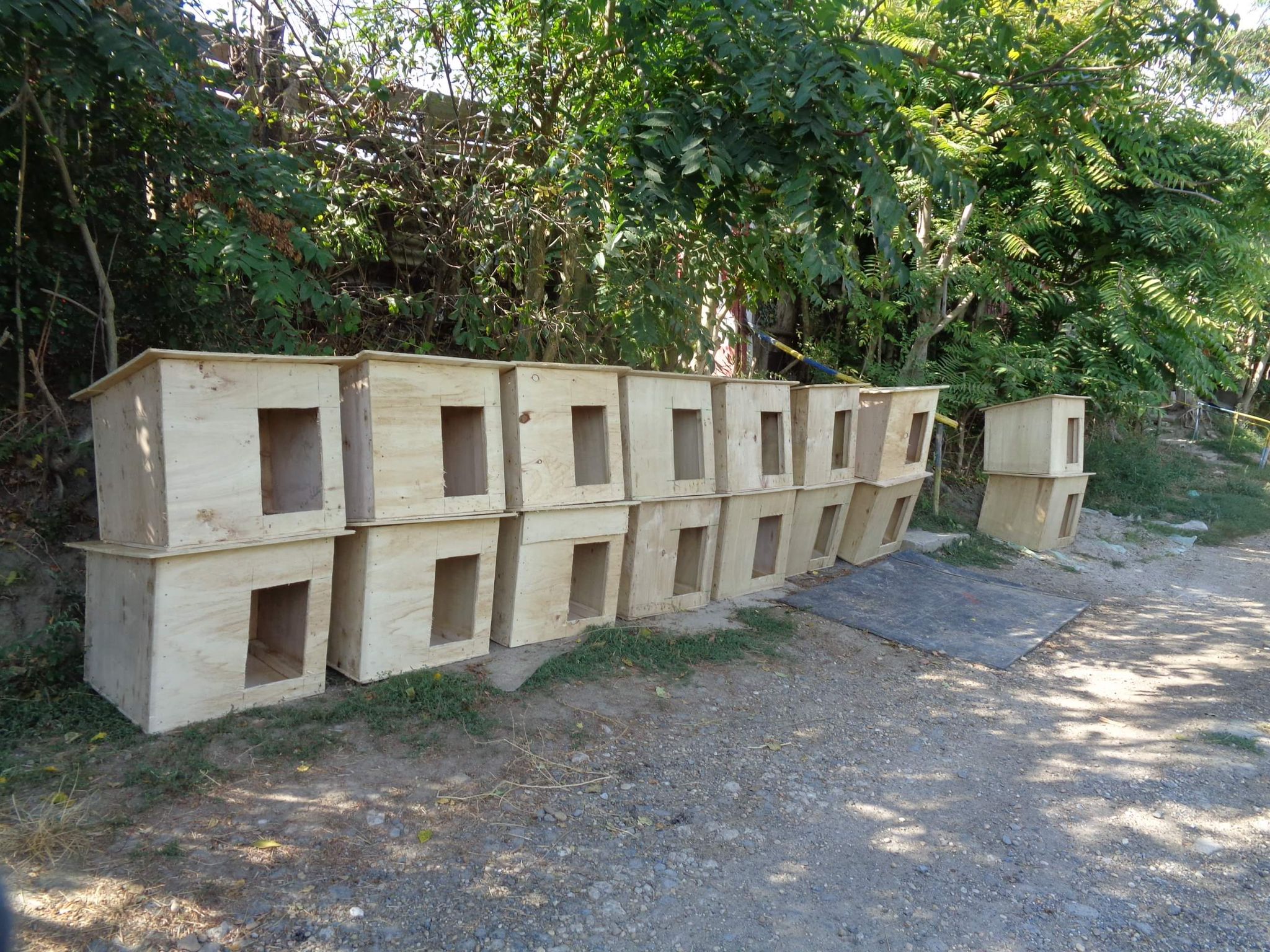 WhatsApp Image 2021 09 23 at 12.40.30 1