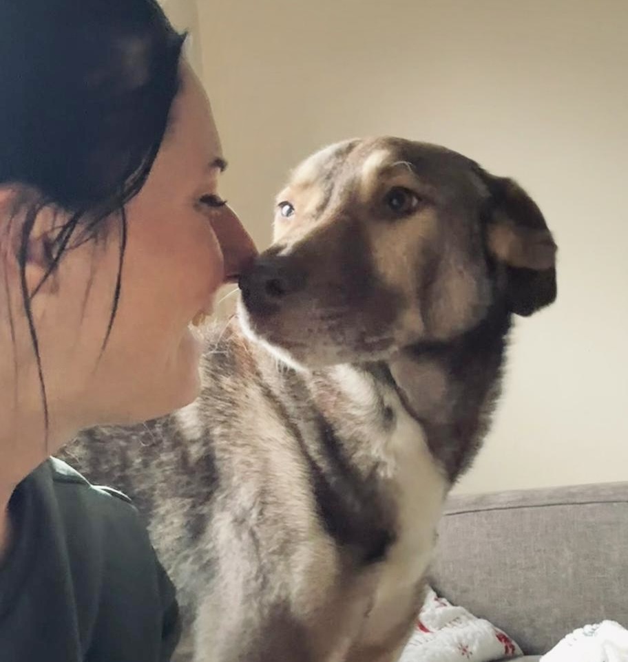 8ff5f267 a6ba 477e 98c1 6a4b7e819749