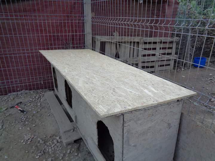 FB IMG 1538414287929