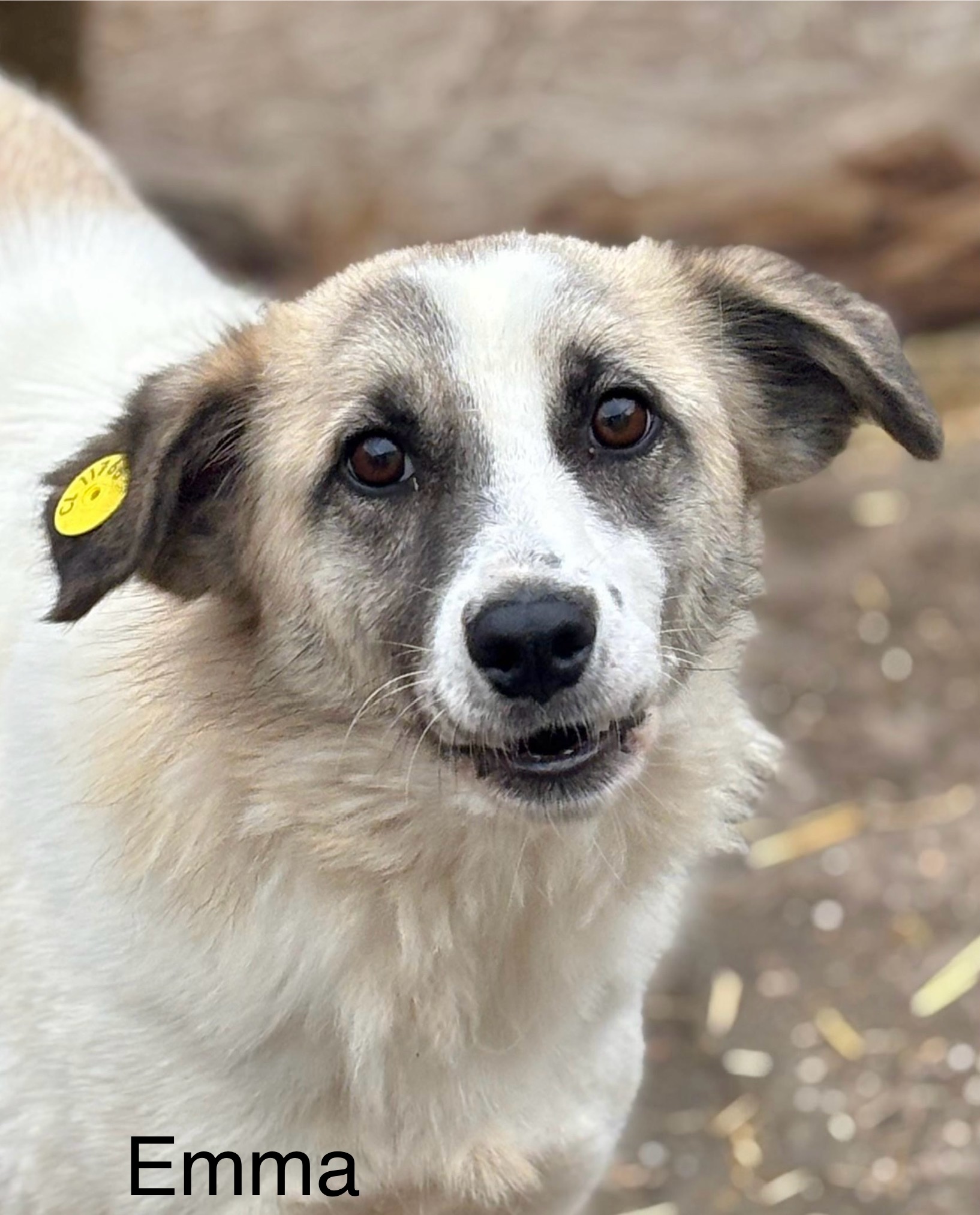 70764be5 75f6 4526 9fc5 5490b88d3190