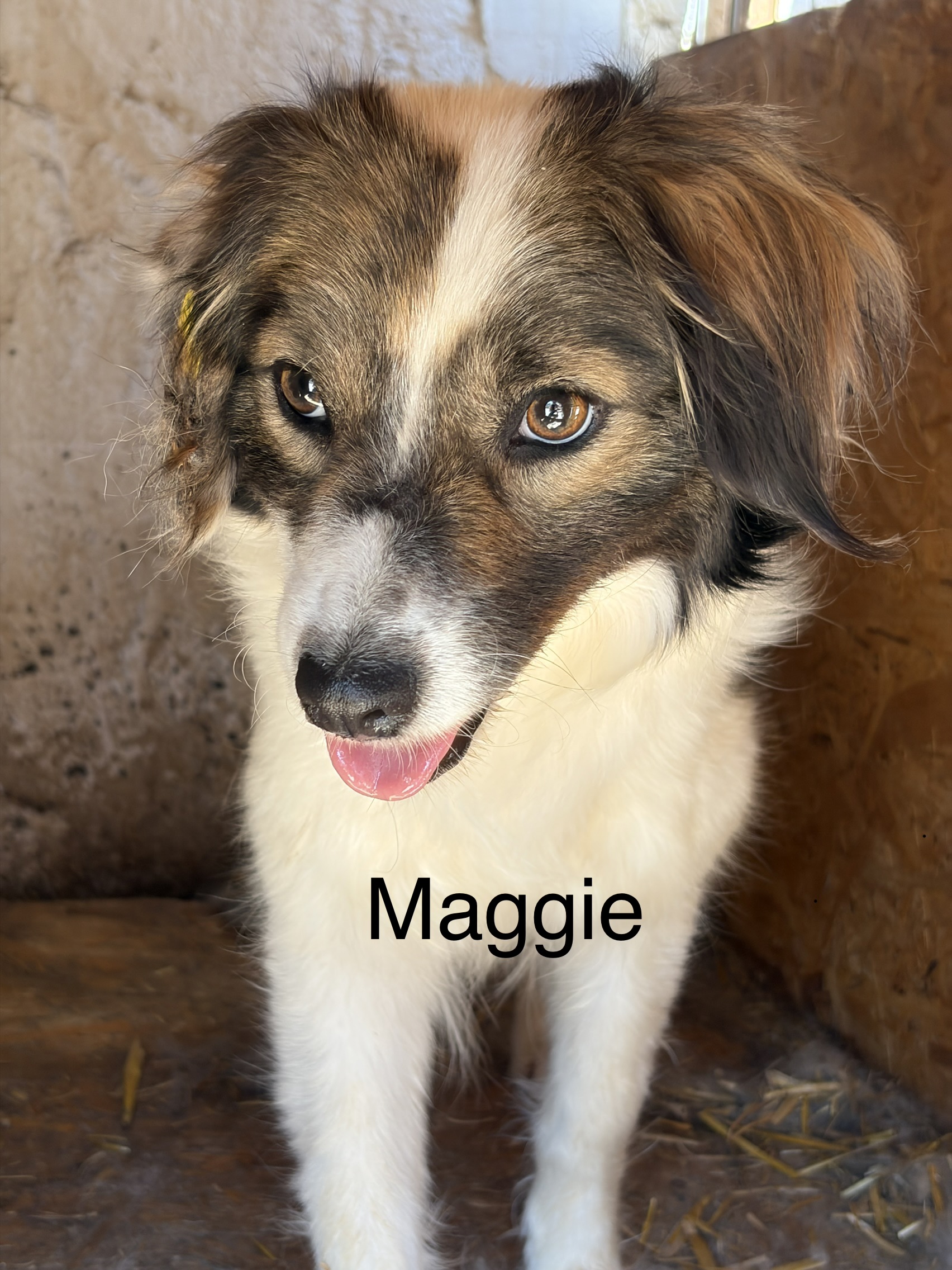 IMG 0416