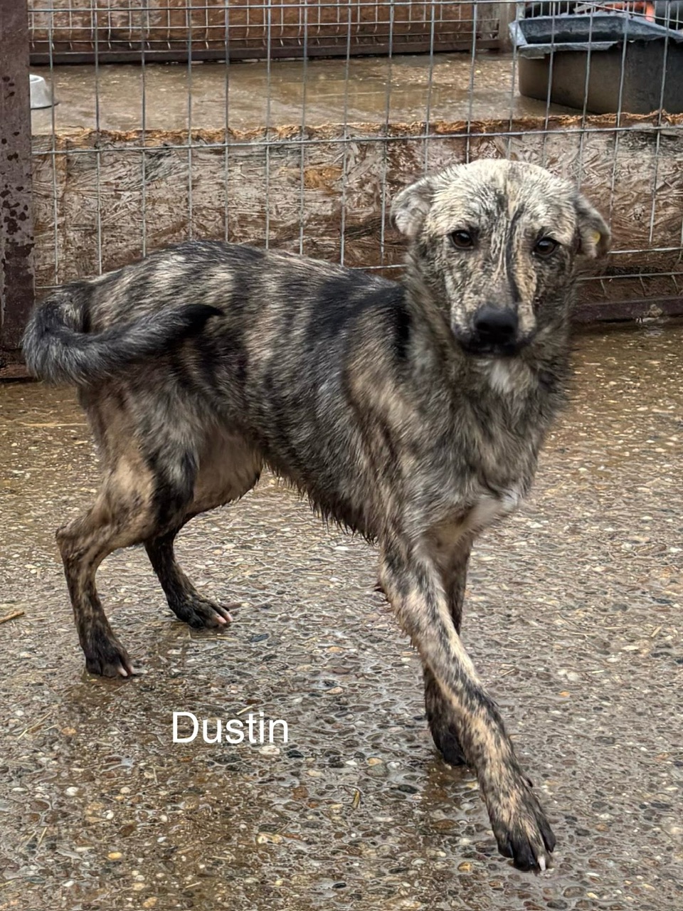 e14cdc64 e770 4c78 bc97 a1a60682cb41