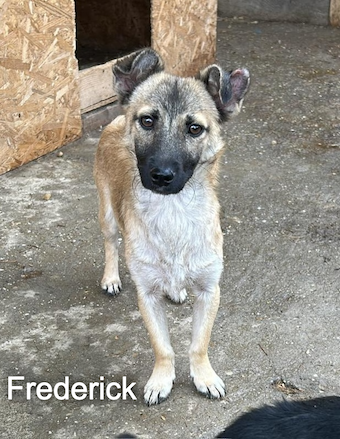 frederick