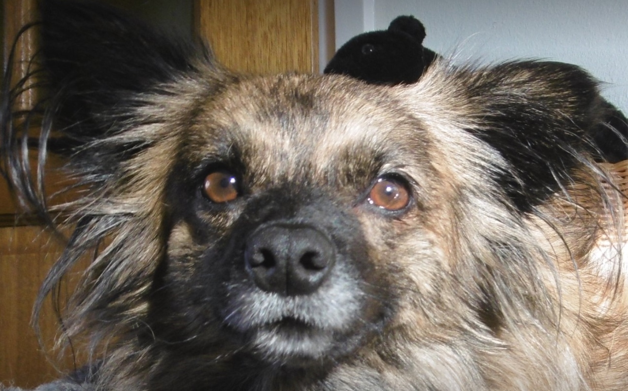 thumbnail image1