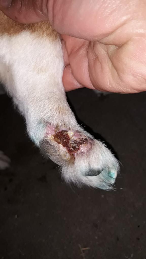 thumbnail IMG 20191129 WA0003
