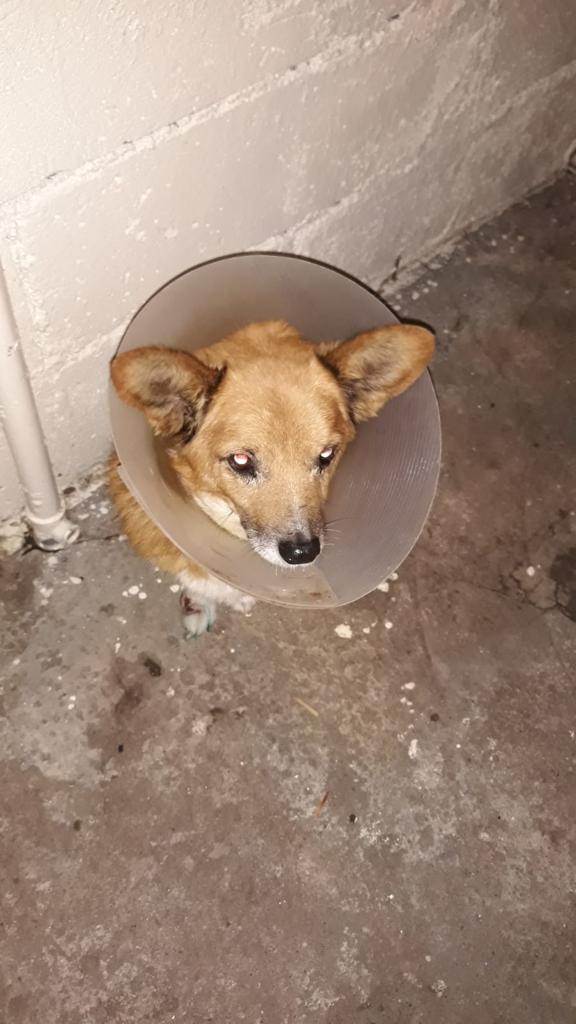 thumbnail IMG 20191129 WA0003