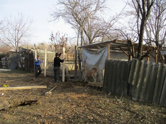 IMG 0347