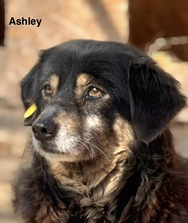 40a88a0b bb54 430f a3d0 9467c7e09d31