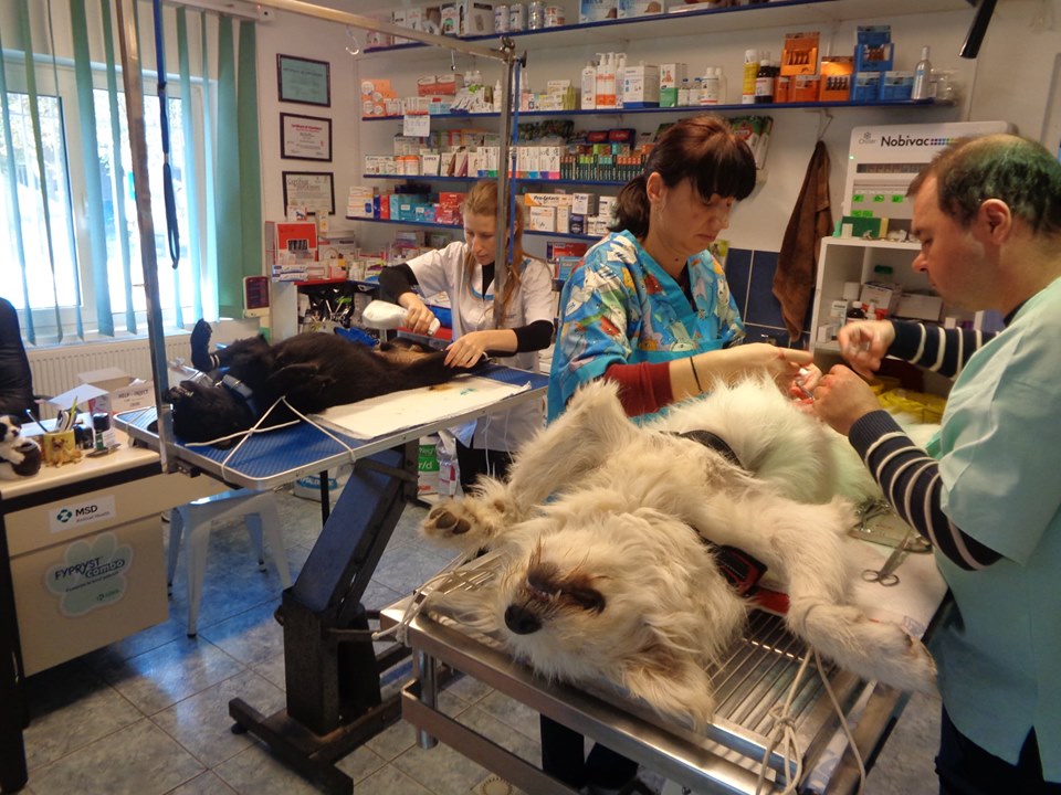 72466193 1551083175034886 2601420523925667840 n