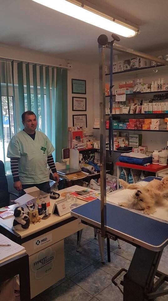 72466193 1551083175034886 2601420523925667840 n