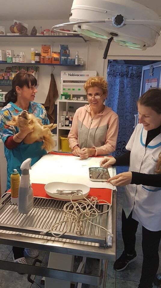 72466193 1551083175034886 2601420523925667840 n