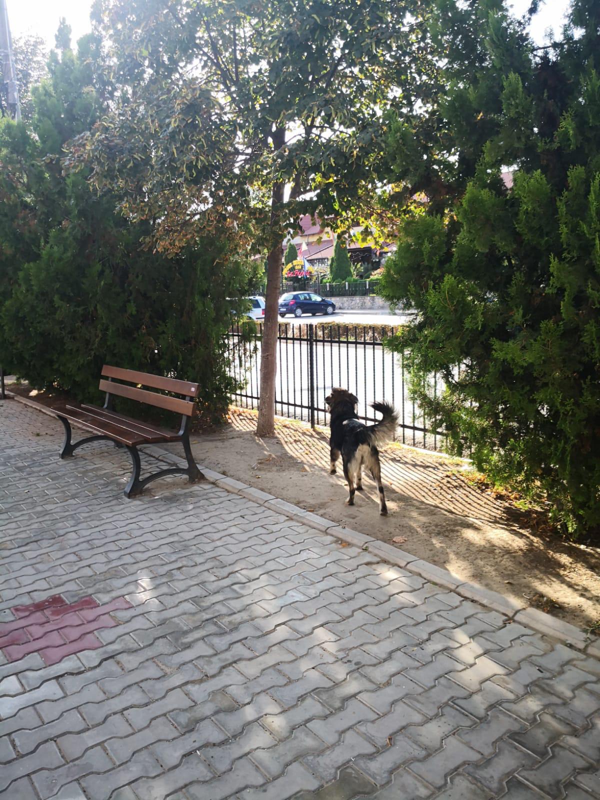 IMG 20200919 WA0000
