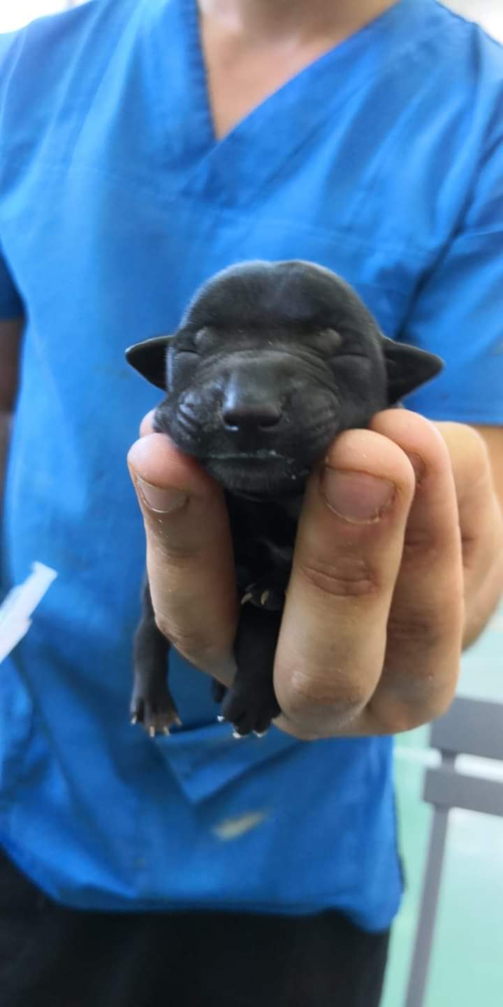 FB IMG 1567707608428