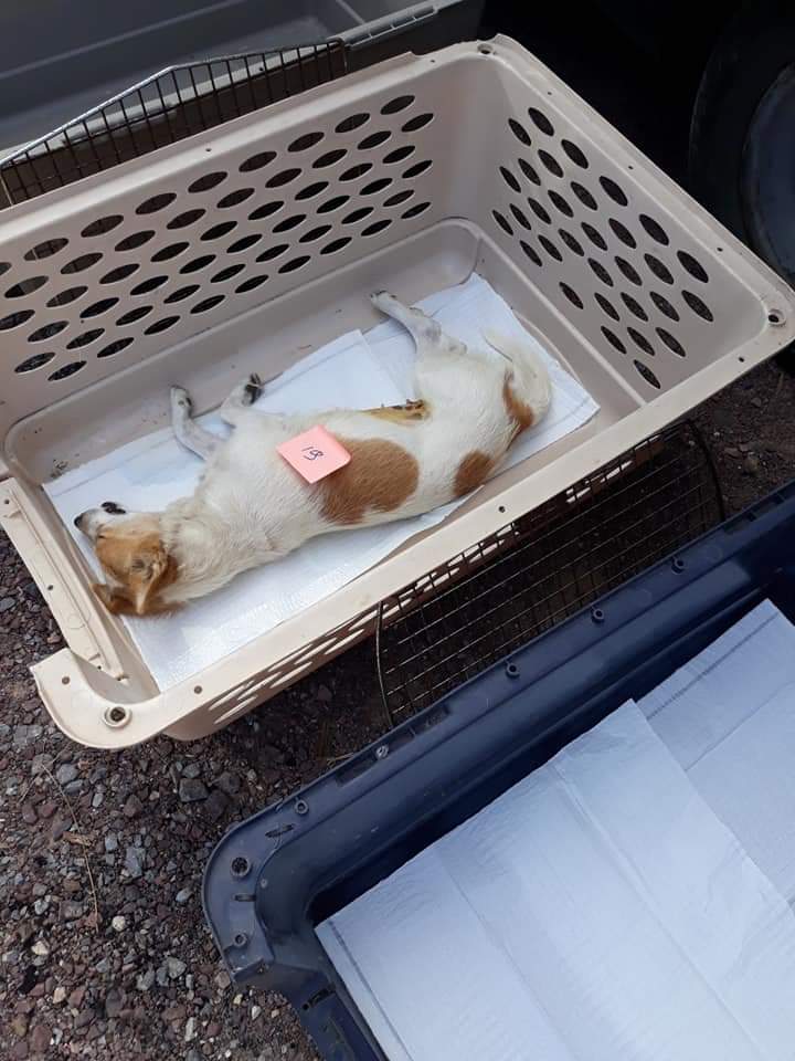 FB IMG 1567707608428