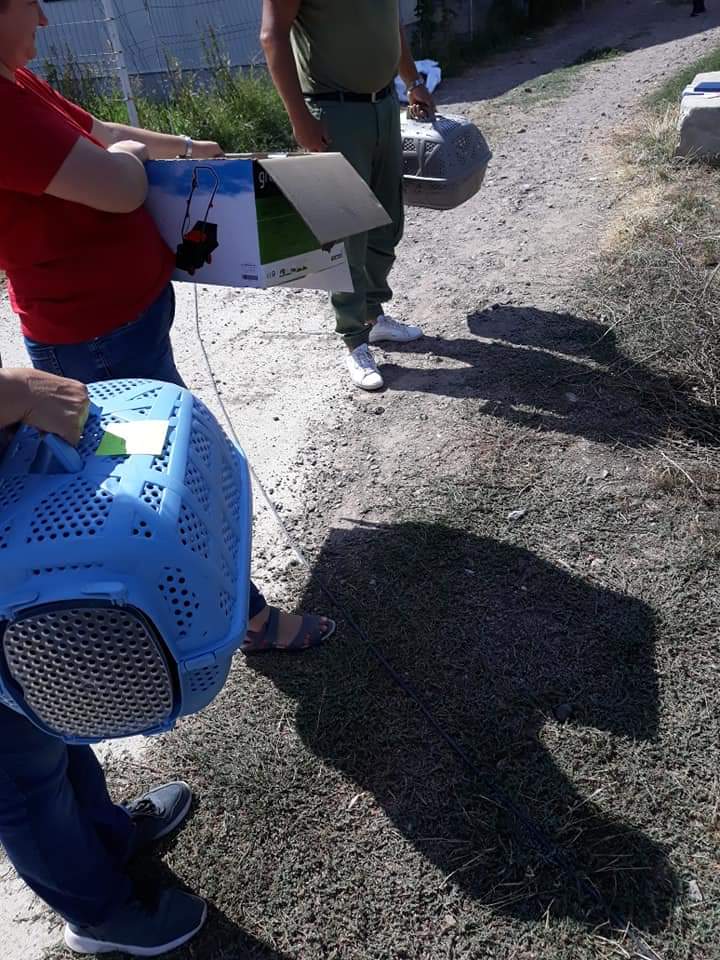 FB IMG 1567707608428