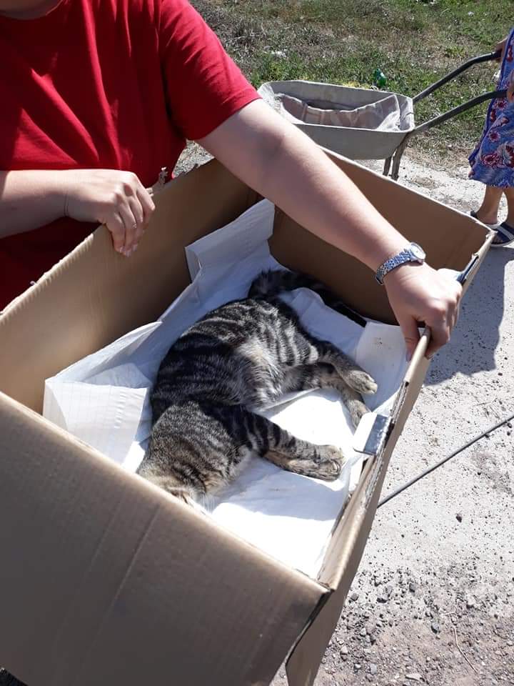 FB IMG 1567707608428