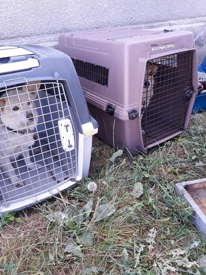 FB IMG 1567707608428