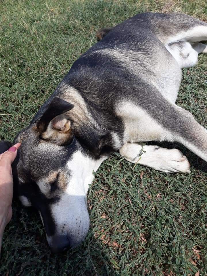 FB IMG 1567707608428