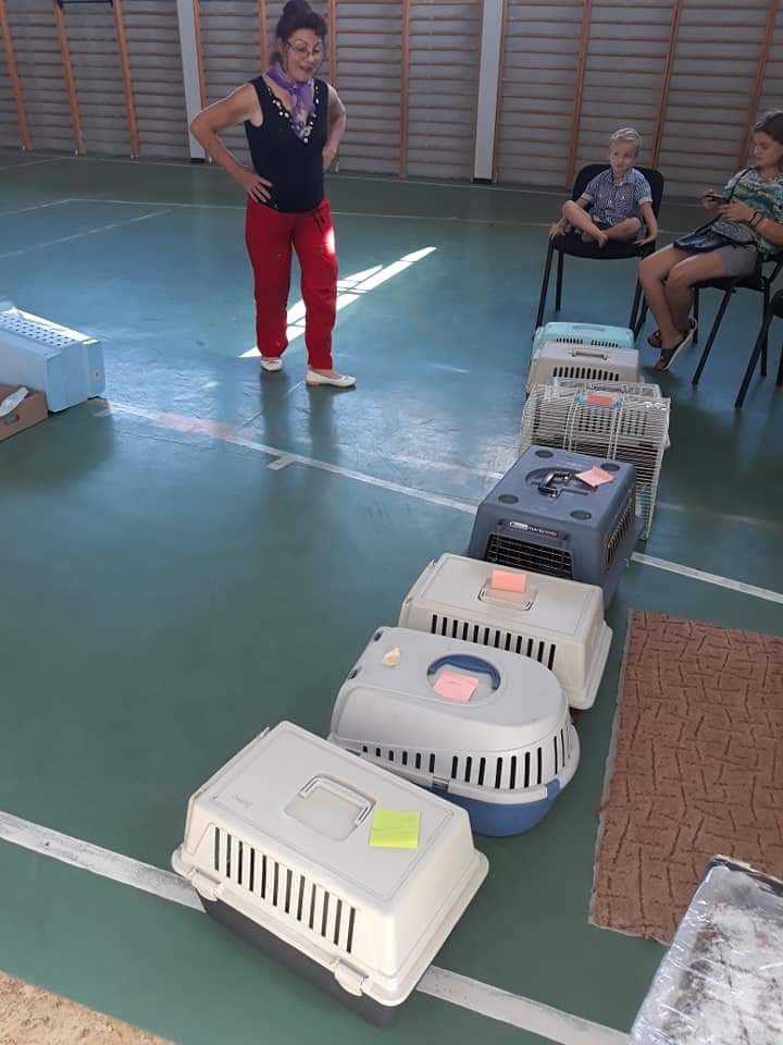 FB IMG 1567707608428