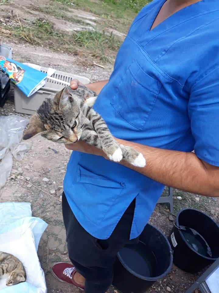 FB IMG 1567707608428