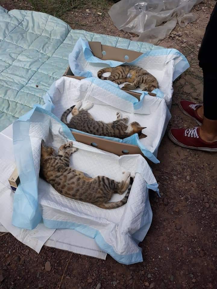 FB IMG 1567707608428