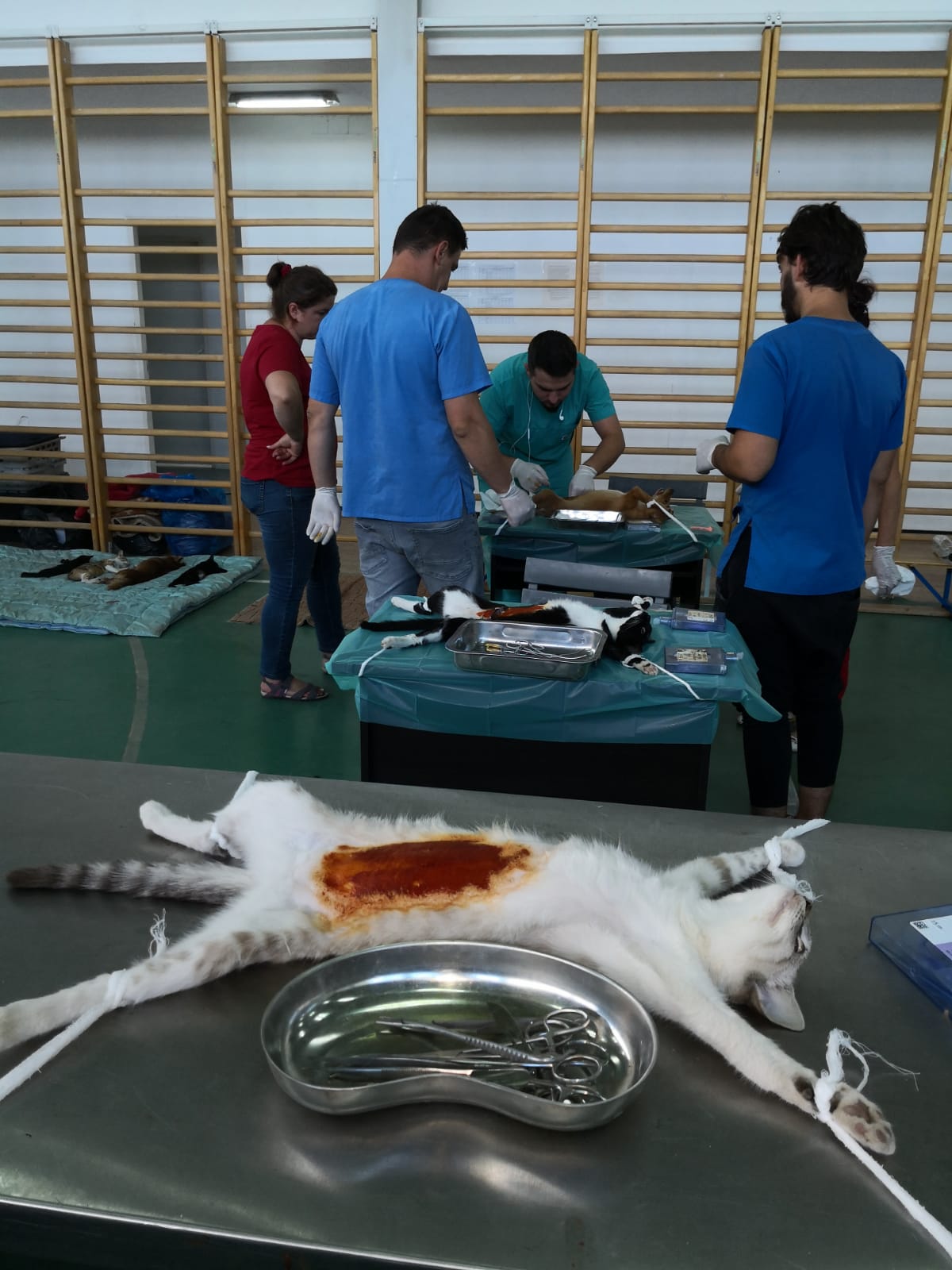 FB IMG 1567707608428