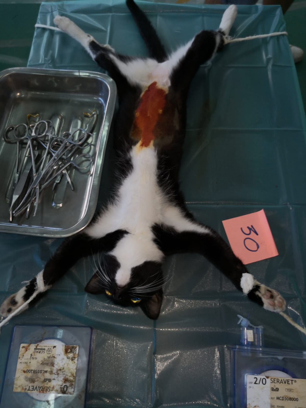 FB IMG 1567707608428