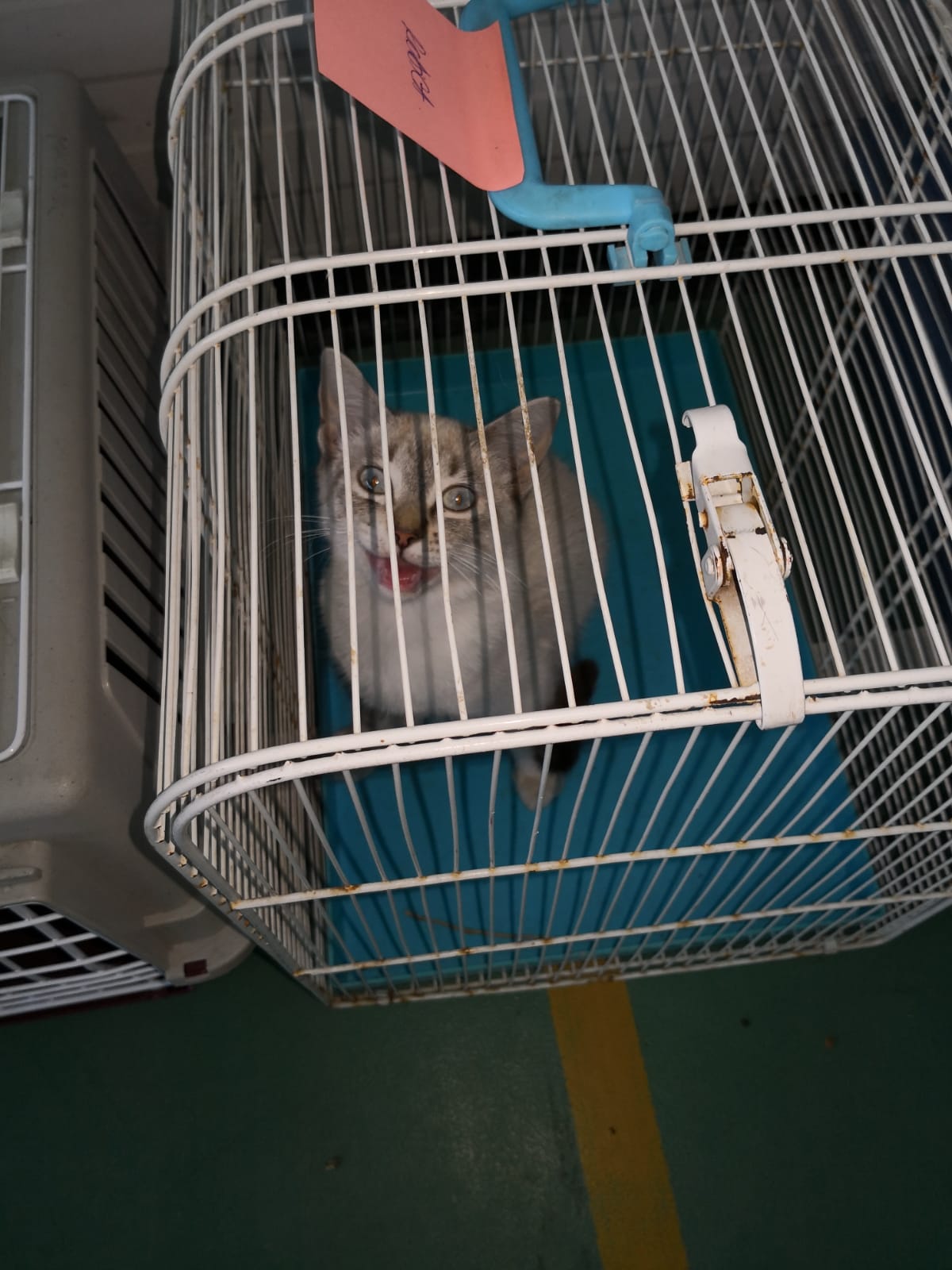 FB IMG 1567707608428