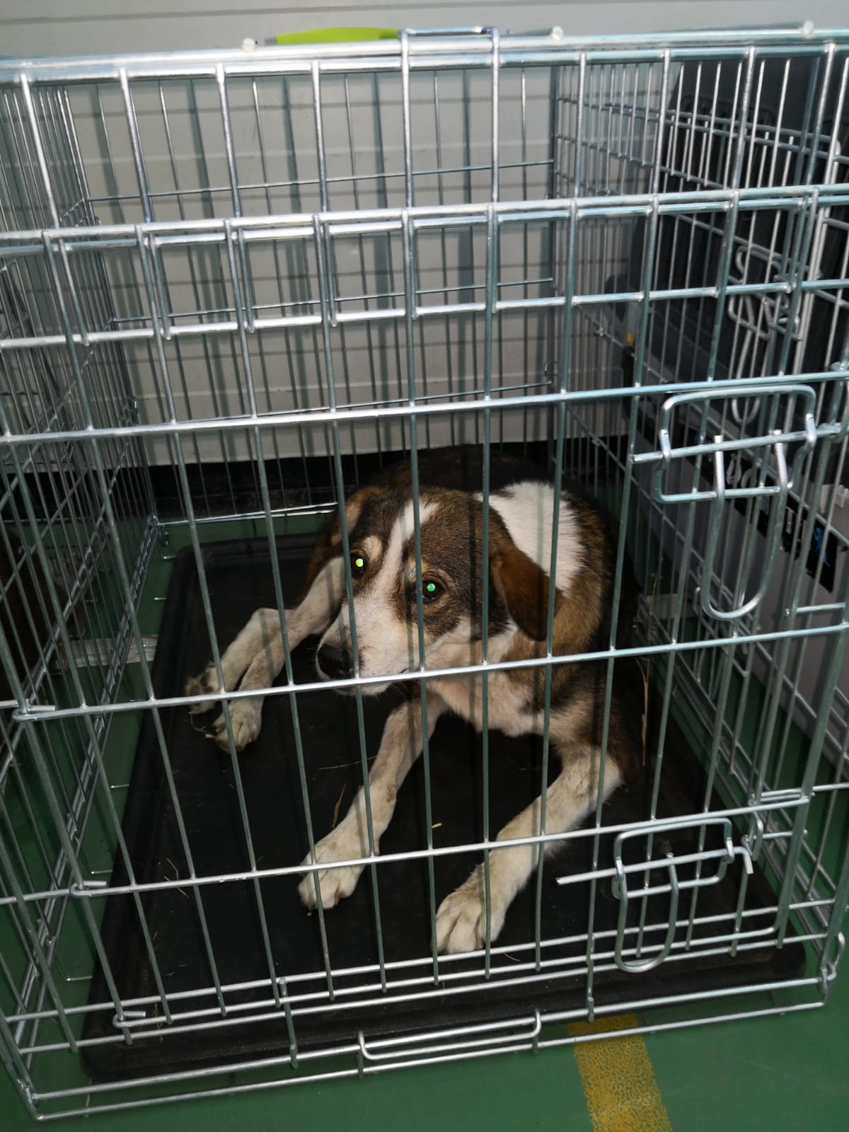 FB IMG 1567707608428