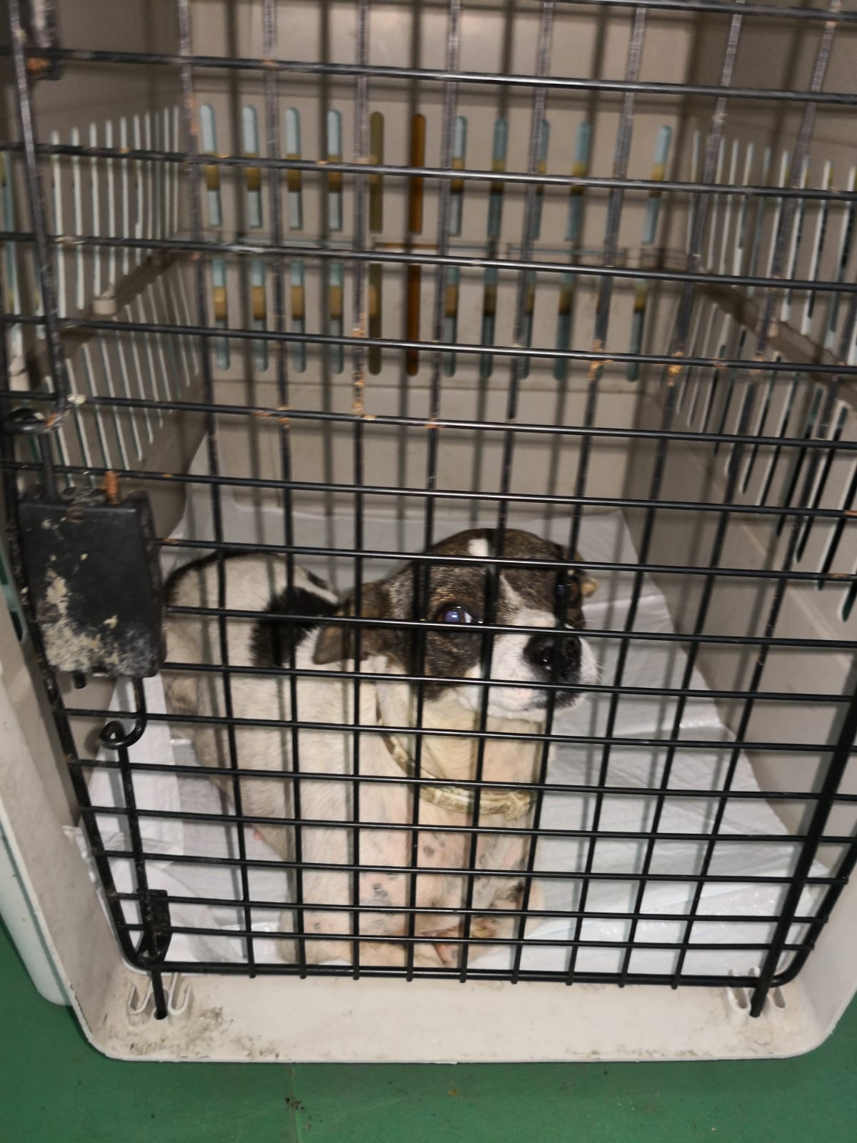 FB IMG 1567707608428