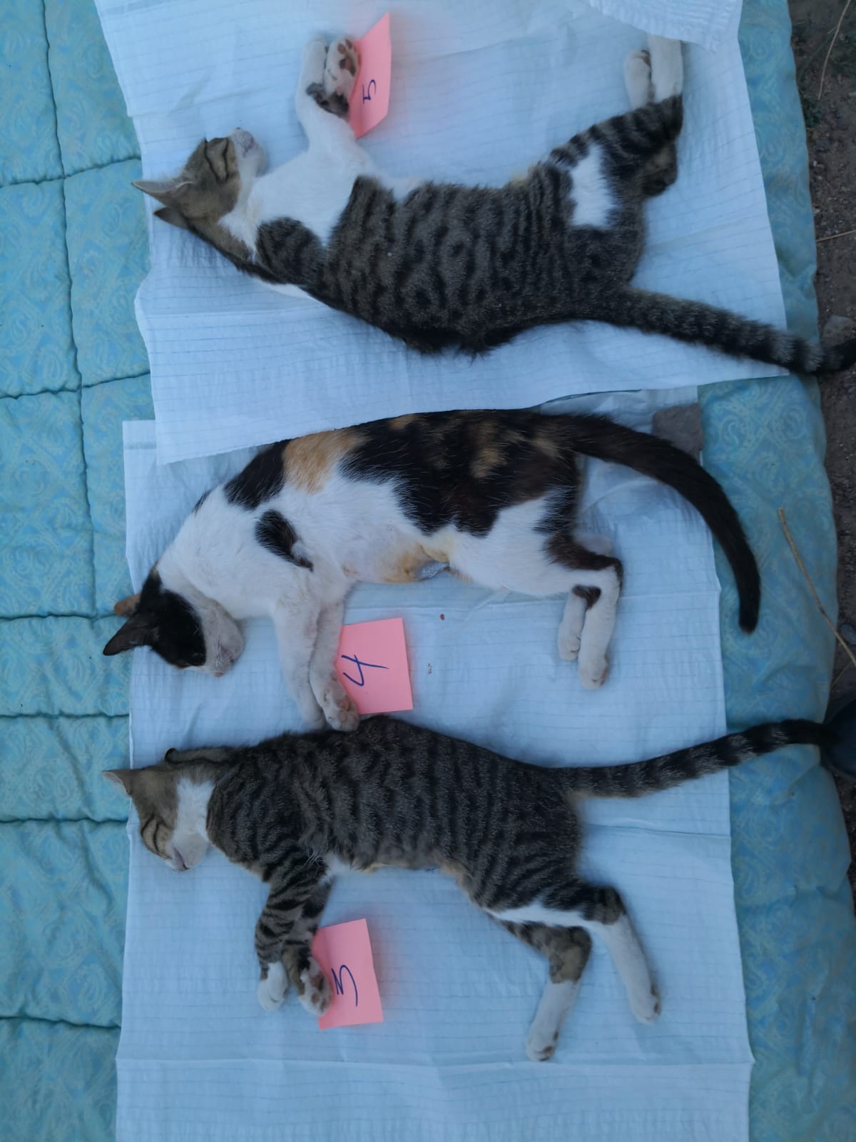 FB IMG 1567707608428