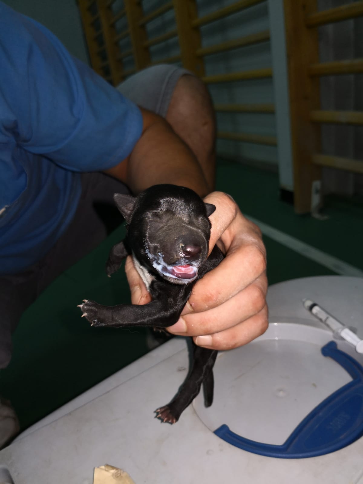 FB IMG 1567707608428