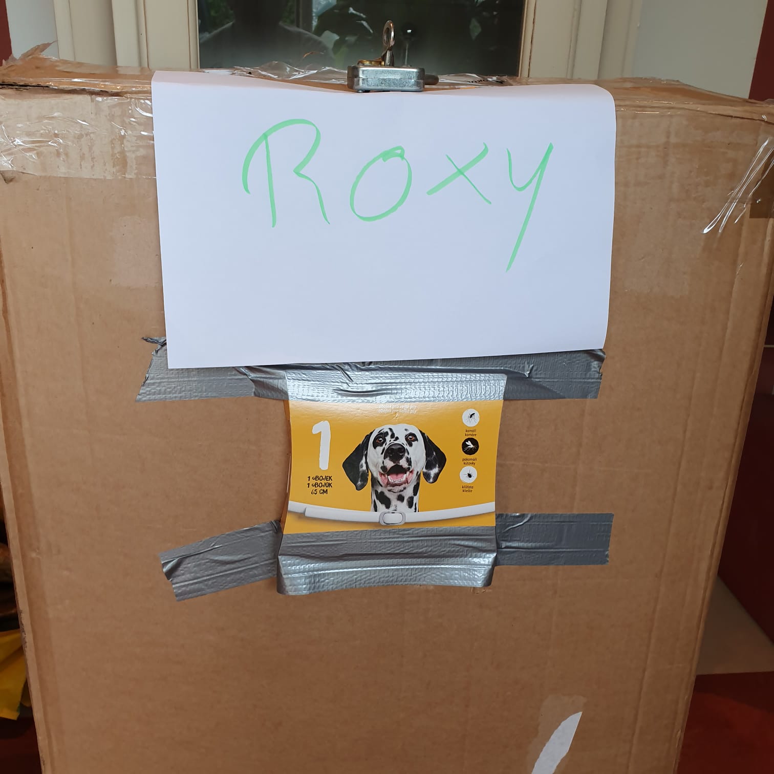 IMG 20190920 WA0068