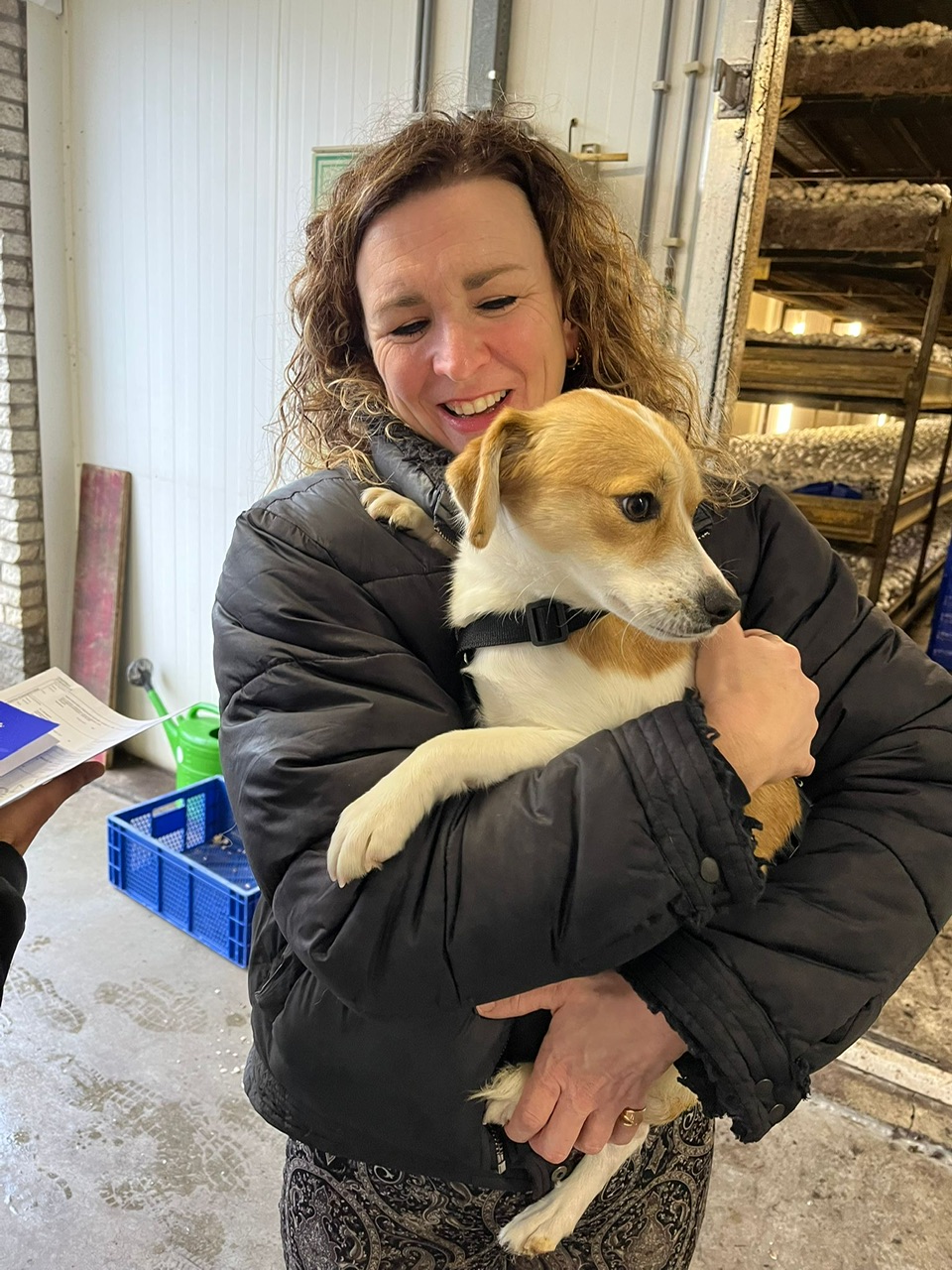 09f08e1b fe11 43d7 ae2a 0afae38a6e7e