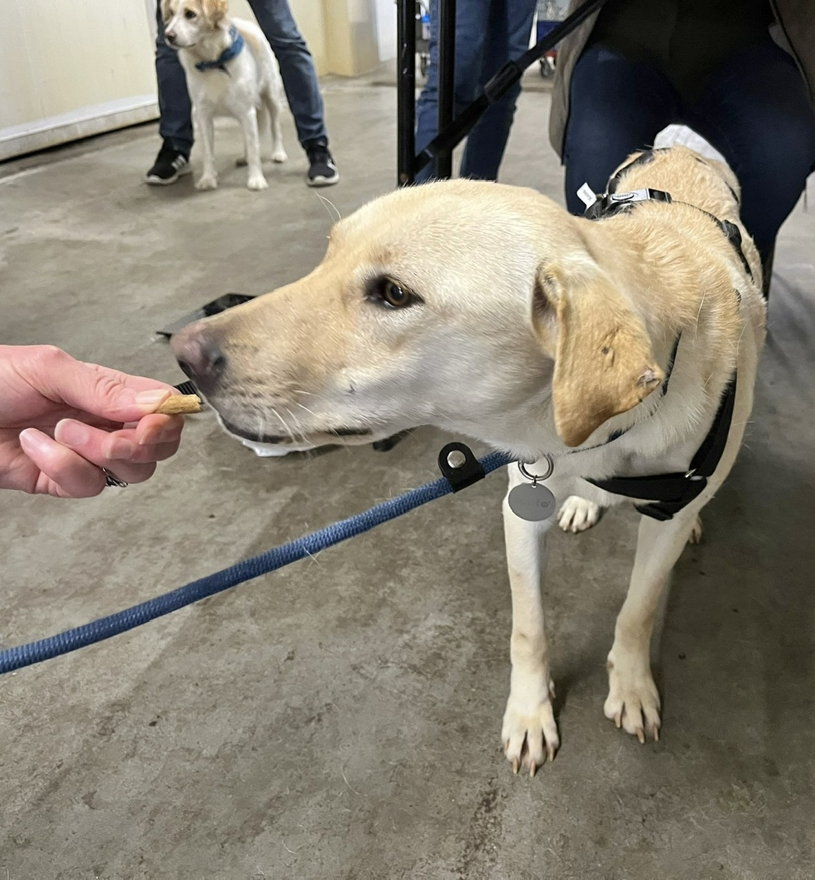 6ec8af0b 8f44 4d51 9b58 3d87613c44d0