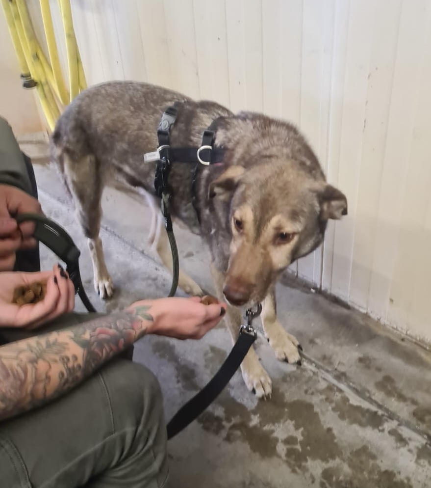 0eec8695 d7e9 4b80 8abd 1a06b162e4c9