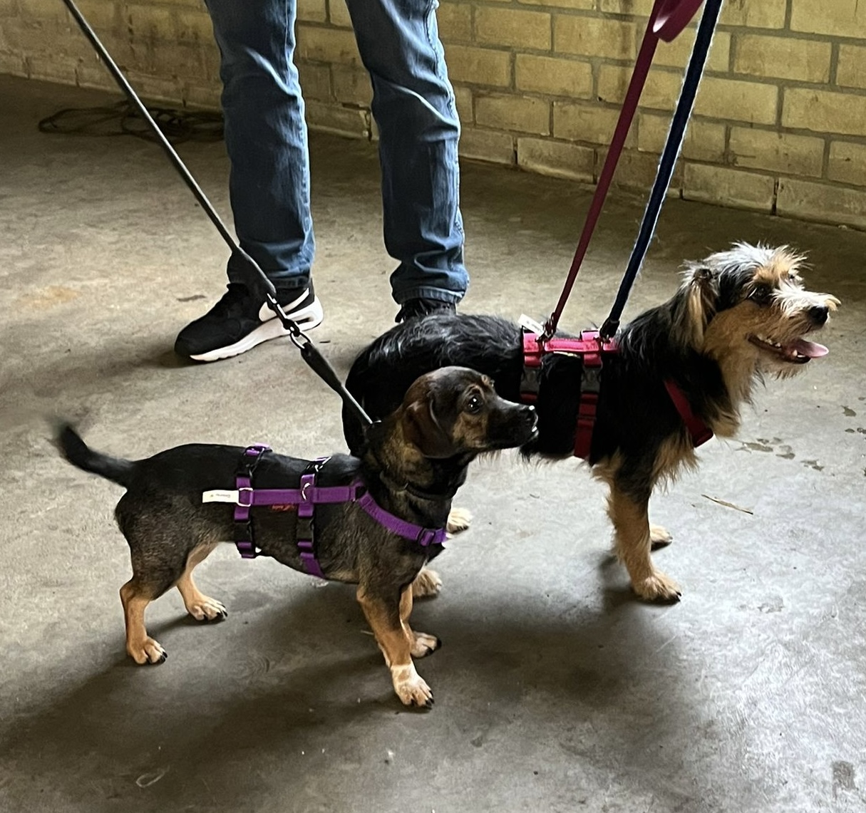 2b1ebc4a f59a 4365 a96d 402c96f59b62