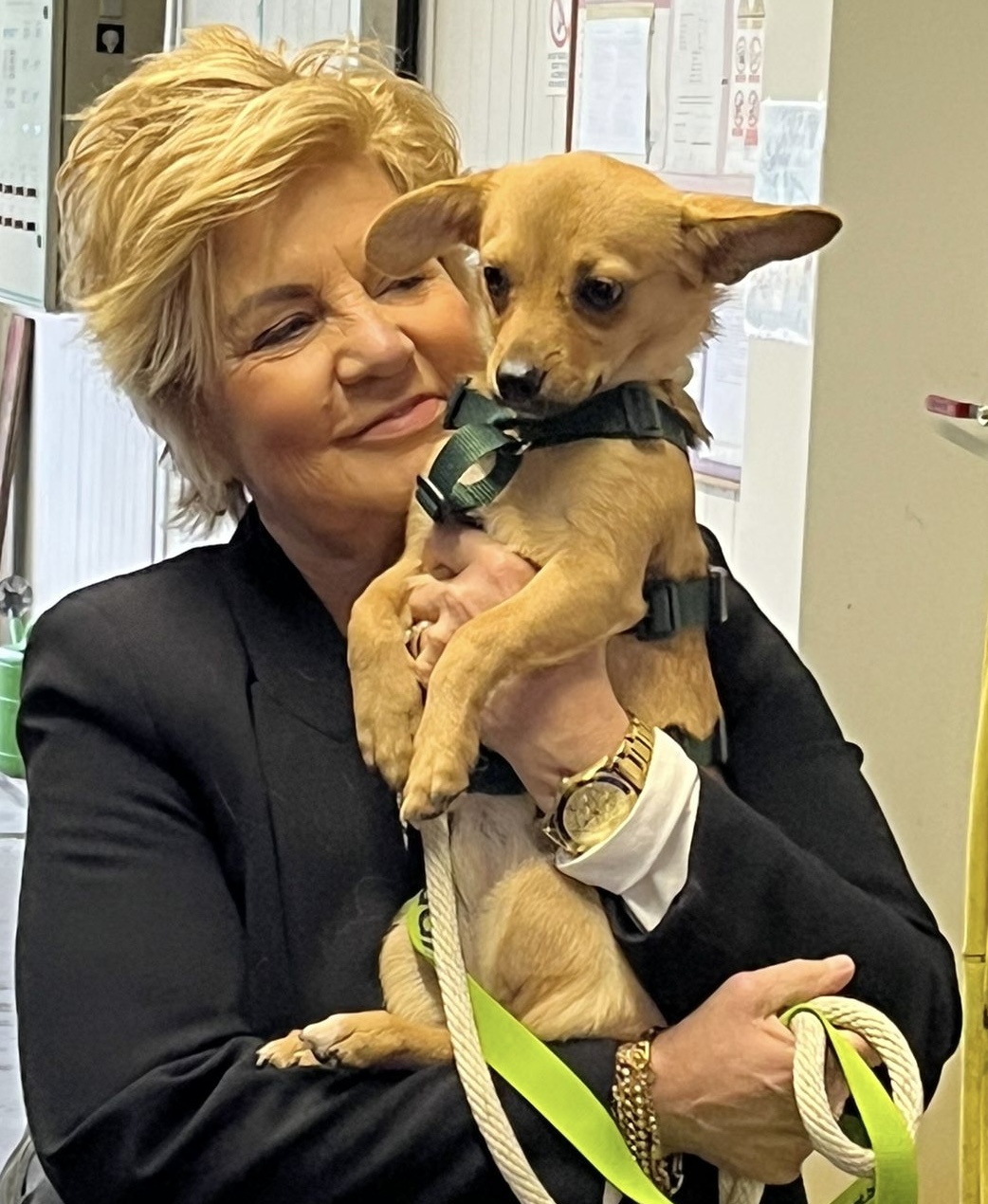 31010335 8fd7 434d bc67 45f11b5cfe45