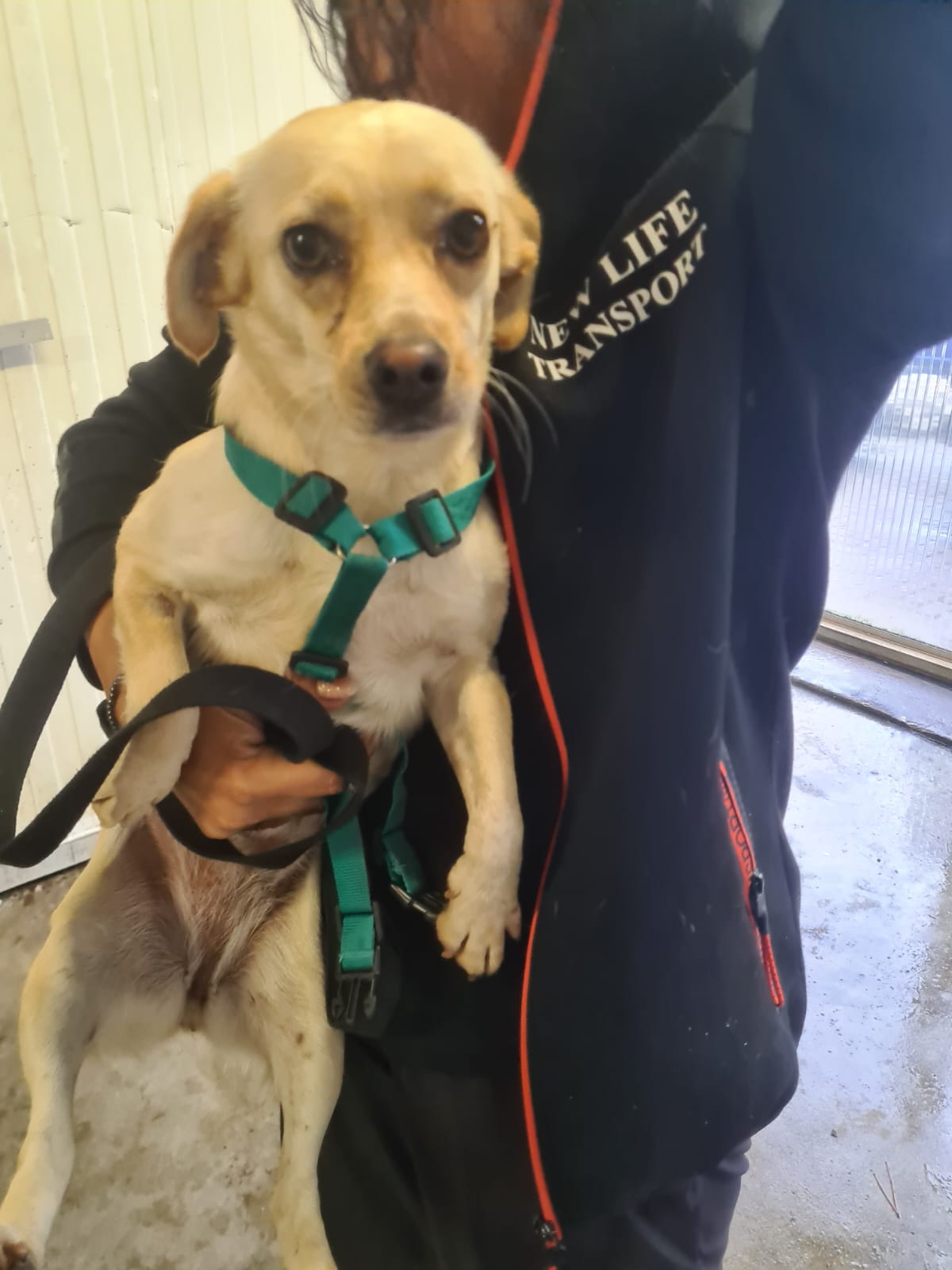 94d46e7a 65ba 4ada b6c3 550bcb928116