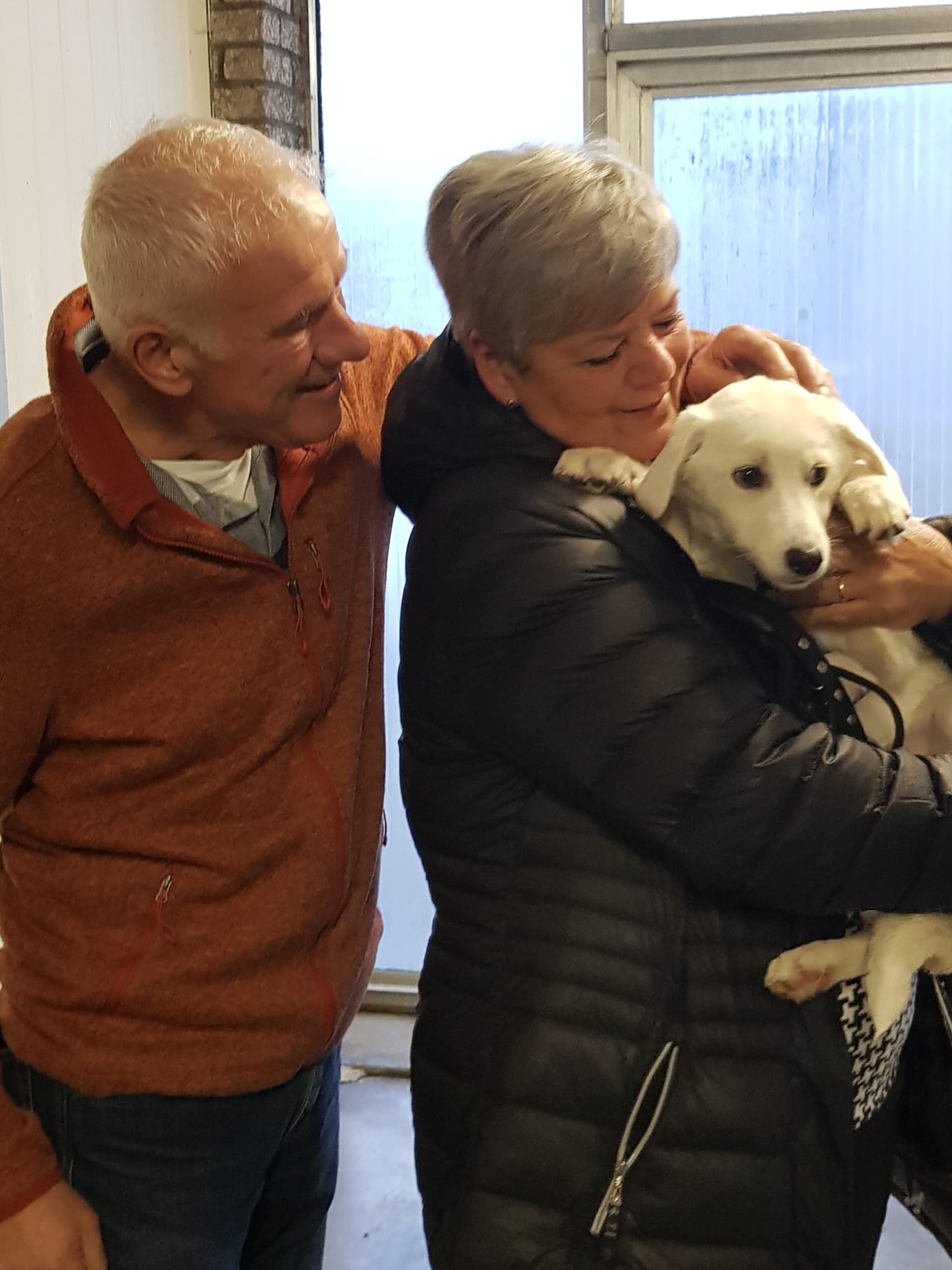 0809ada1 9f41 4281 9ff9 97d881841e05