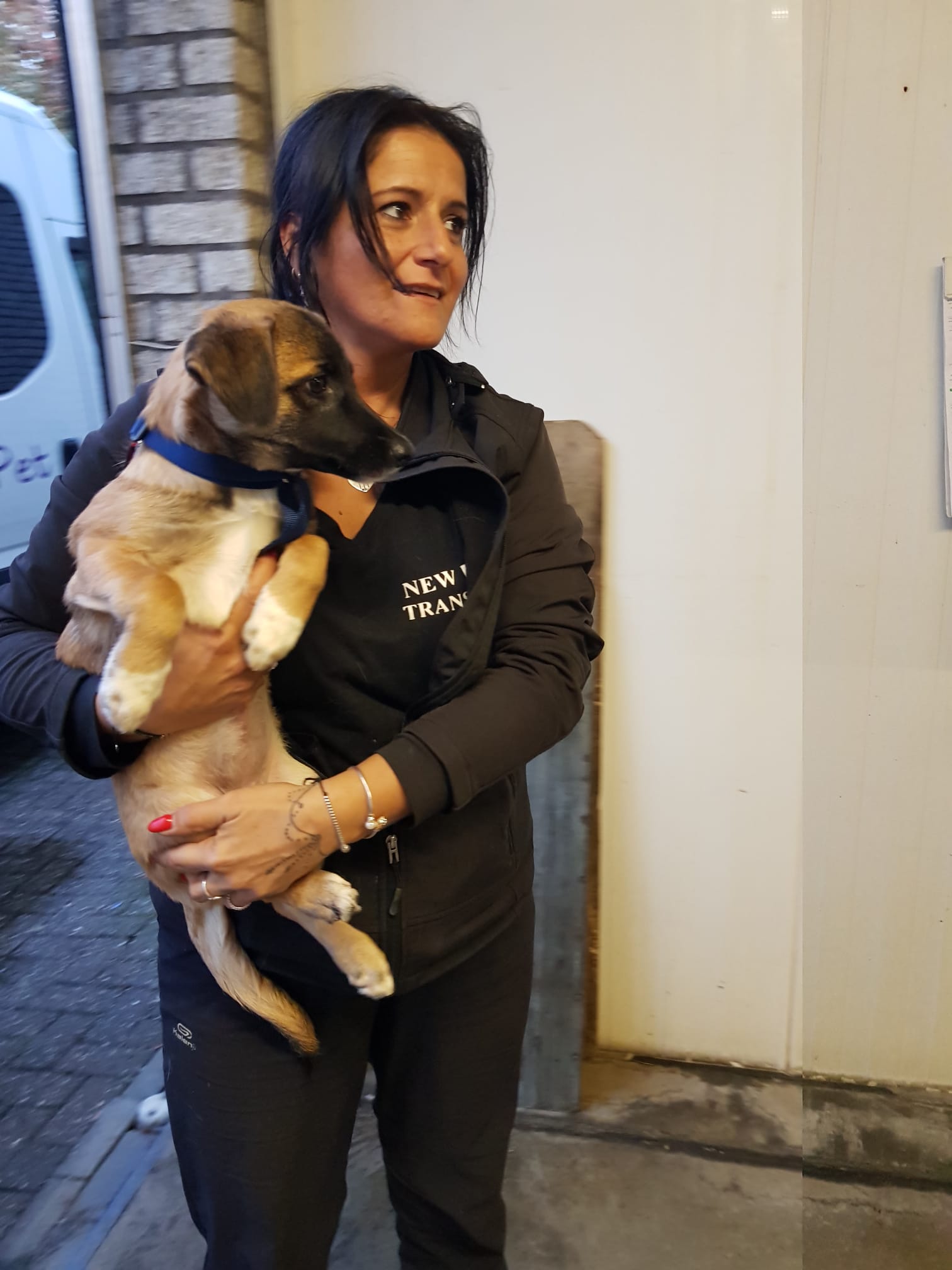 19a90e94 6bb9 4674 ad9d 0245c80f0592