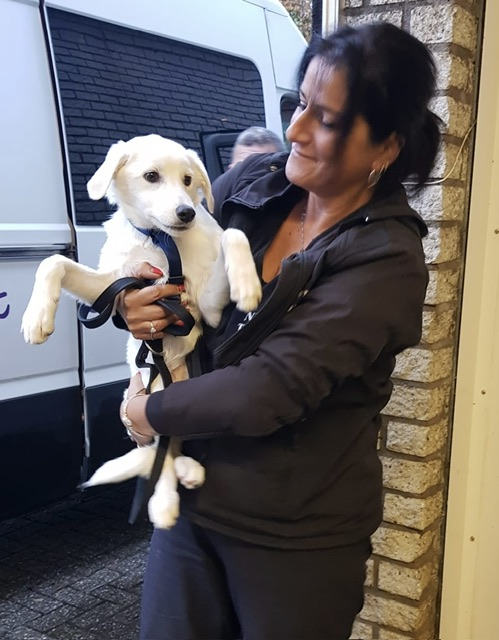 818f4923 d930 42ea 8b78 2bd4cb92dd0a