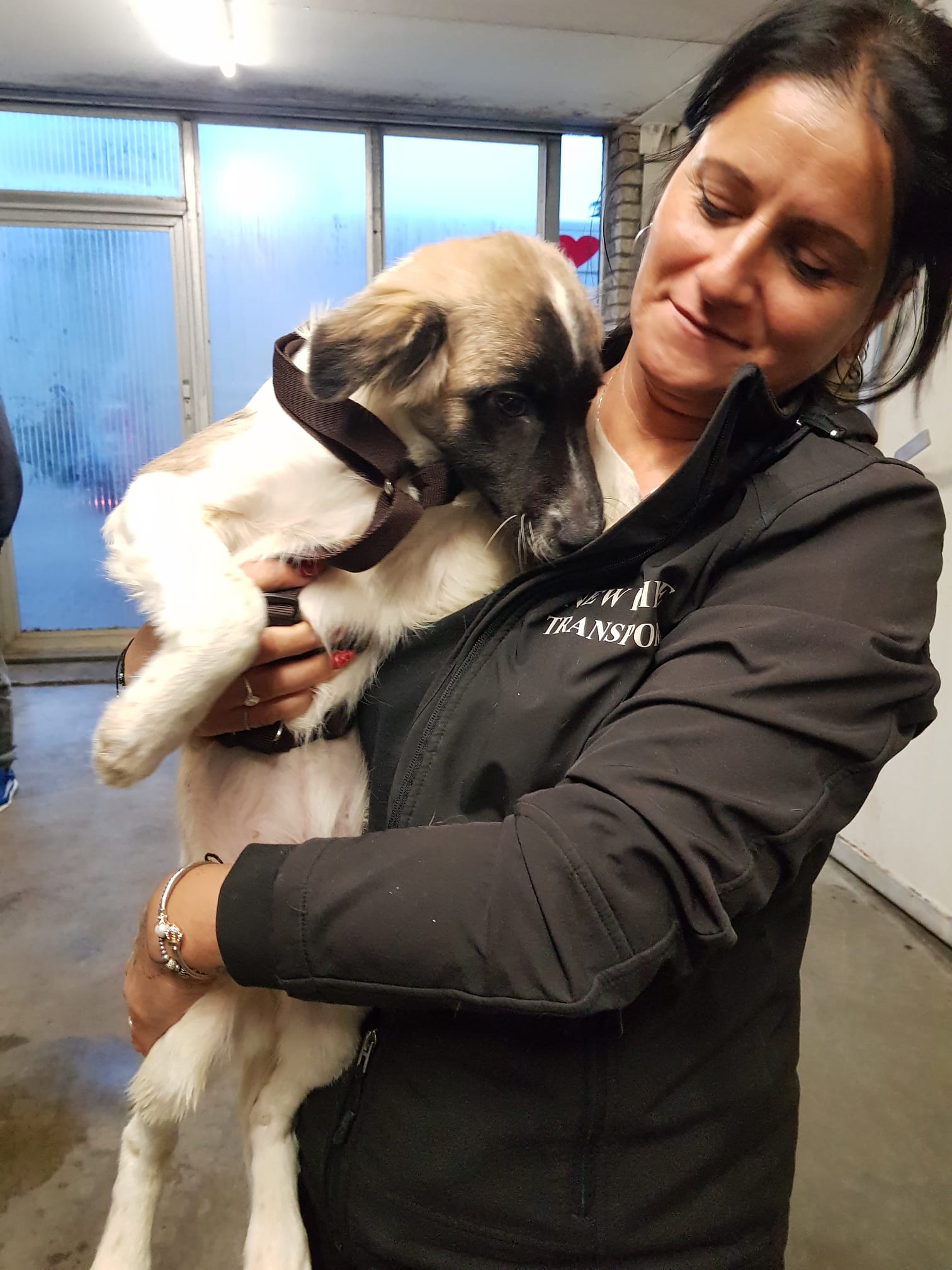 db78ac07 87c8 4393 bade 4bb1b1248b5a