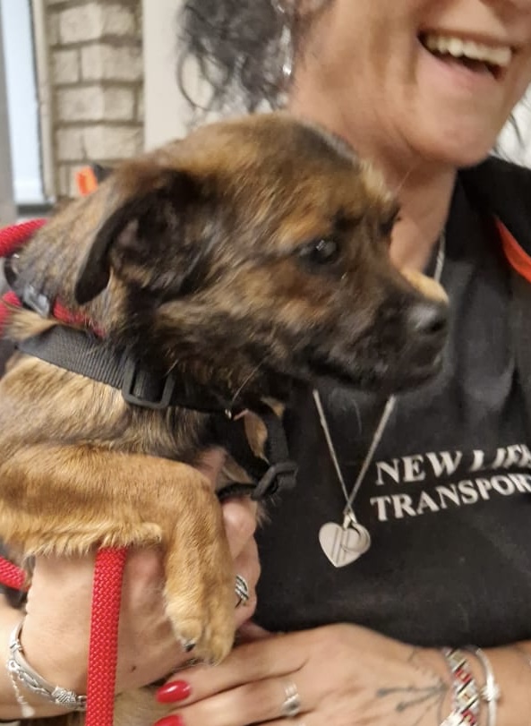 2688ef07 13c3 4491 bdf2 c76de5be74aa