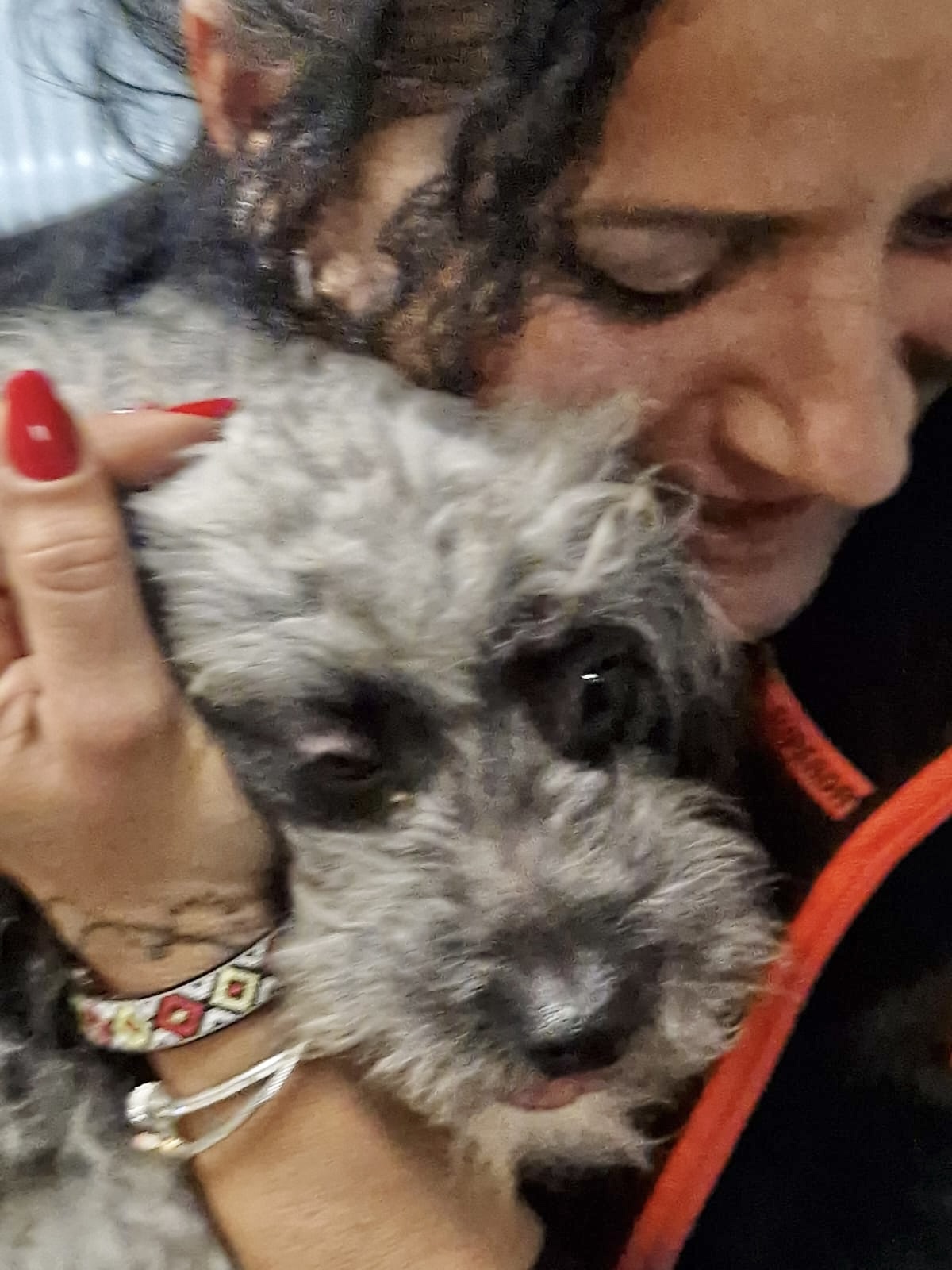 2970de24 df16 46b6 900d 7325b5ed6479